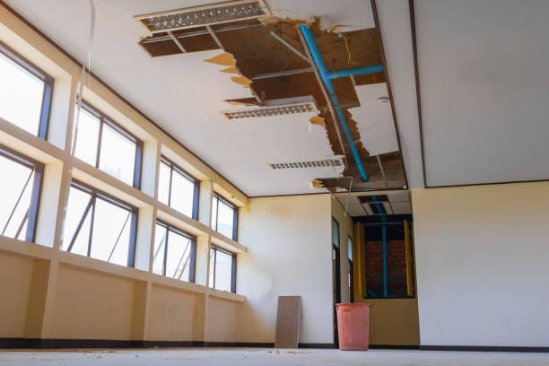 Best Fire Damage Restoration  in Manning, IA