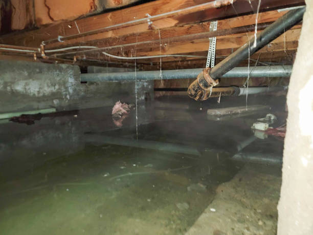 Best Water damage restoration near me  in Manning, IA