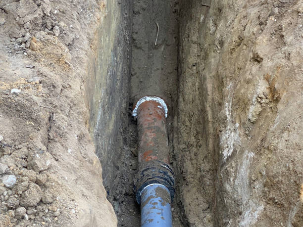 Best Flood damage cleanup  in Manning, IA