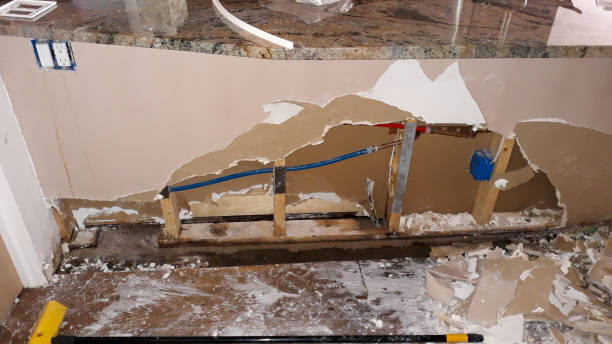 Best Water damage restoration near me  in Manning, IA