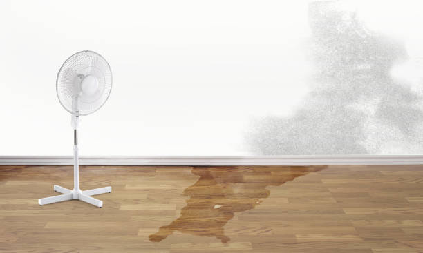 Best Flood restoration services  in Manning, IA