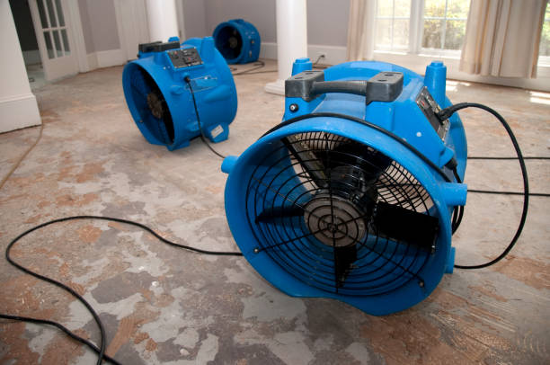Best Water damage contractors near me  in Manning, IA
