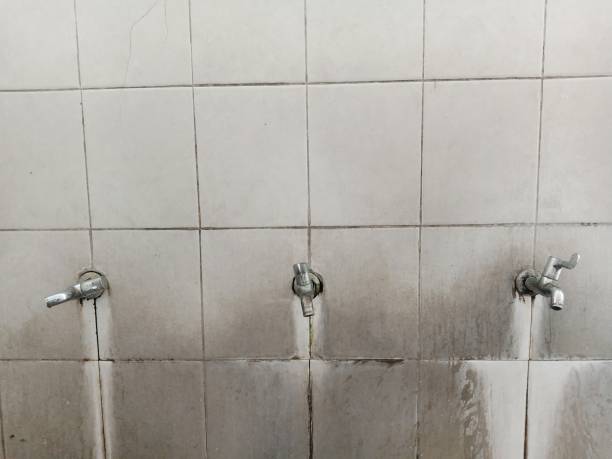 Best Water damage restoration near me  in Manning, IA