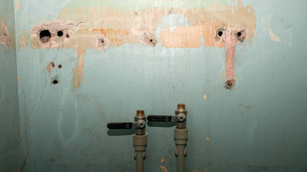 Best Sewage cleanup and water damage restoration  in Manning, IA