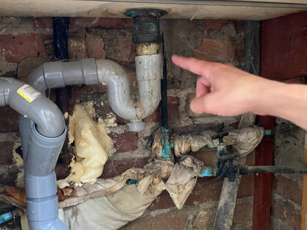 Best Water damage contractors near me  in Manning, IA