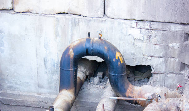 Best Water damage restoration specialists  in Manning, IA