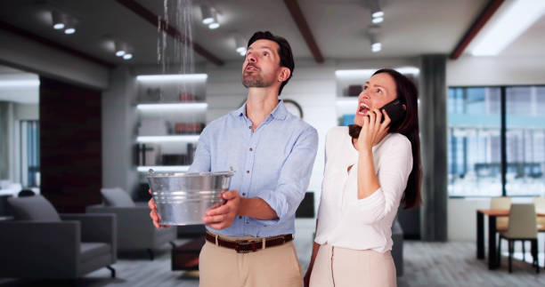 Best Basement water damage restoration  in Manning, IA