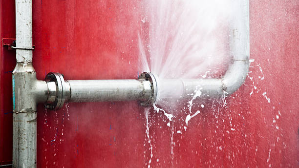 Best Basement water damage restoration  in Manning, IA